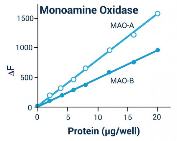 Monoamine Oxidase (MAO) Assay Kit
