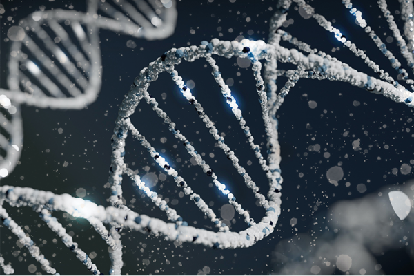 EGFP IVT mRNA (m2psi substitution)