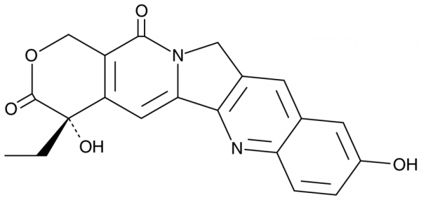 (S)-10-hydroxy-Camptothecin