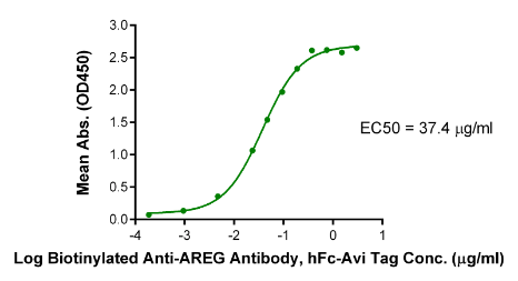 AREG hFc Chimera, Human