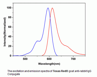 Texas Red(R) goat anti-rabbit IgG (H+L) *Cross Adsorbed*