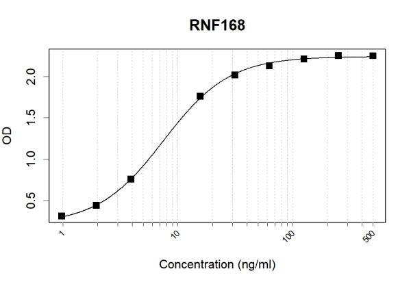 Anti-Human RNF168 Antibody Pair