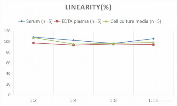 Mouse TTR (Transthyretin) CLIA Kit