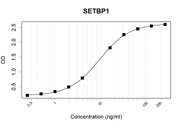 Anti-Human SETBP1 Antibody Pair