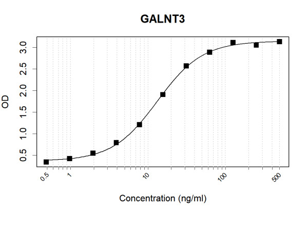 Anti-Human GALNT3 Antibody Pair