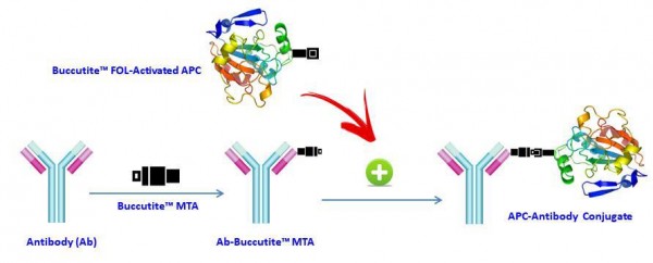 Buccutite(TM) Rapid APC Antibody Labeling Kit *Microscale Optimized for Labeling 25 ug Antibody Per