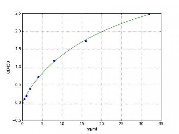 Human mmp 2 ELISA Kit