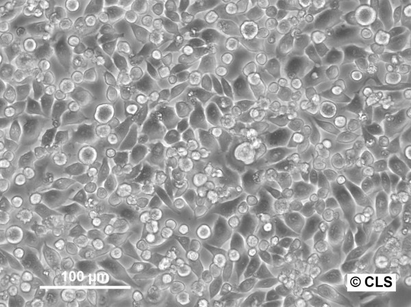 SAT Cells