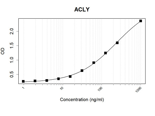 Anti-Human ACLY Antibody Pair