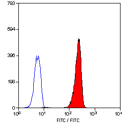 Anti-Leukotriene B4 Receptor (FITC), clone 202/7B1