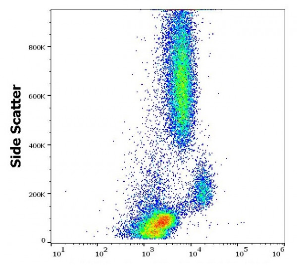 Anti-CD120a / TNF receptor 1, clone H398