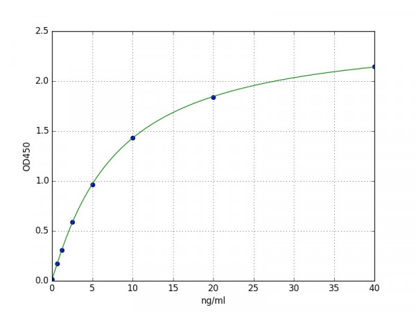 Human COL3A1 / Collagen III ELISA Kit