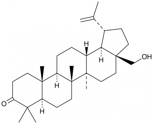 3-Oxobetulin