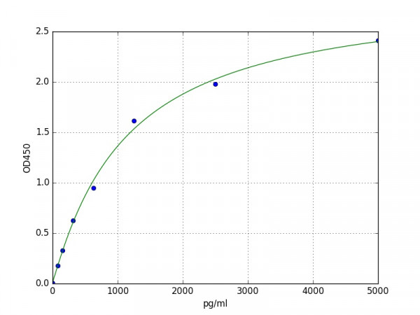 Human Nogo / Reticulon 4 ELISA Kit