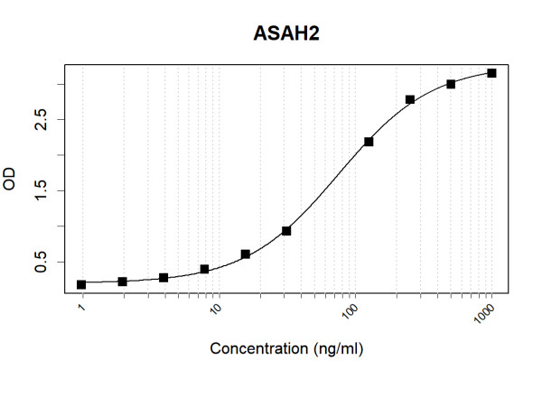 Anti-Human ASAH2 Antibody Pair