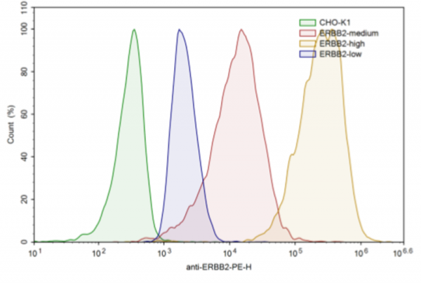 HER2 (ERBB2) CHO Recombinant Cell Line (Medium Expression)