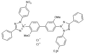 Nitro Blue Tetrazolium (NBT)