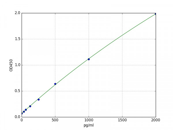 Mouse SAA2 / Serum amyloid A-2 protein ELISA Kit