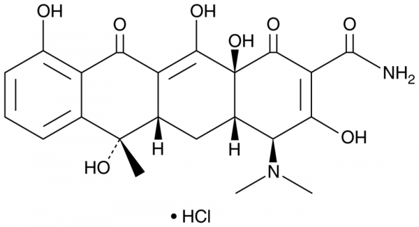 Tetracycline (hydrochloride)