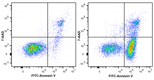 Annexin V-FITC/7-AAD Apoptosis Kit