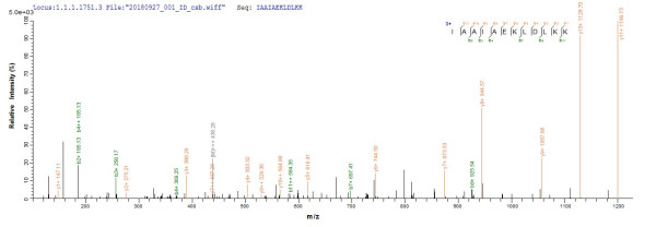 POU domain, class 4, transcription factor 2 (POU4F2), human, recombinant