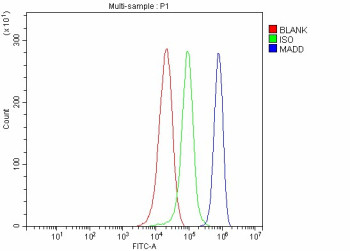 Anti-MADD / MAP kinase-activating death domain