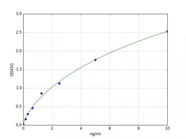 Human BCRP / ABCG2 ELISA Kit
