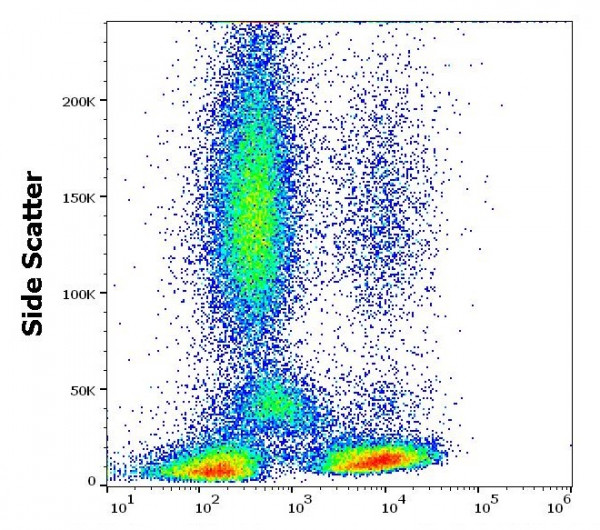 Anti-CD2, clone TS1/8 (low endotoxin)