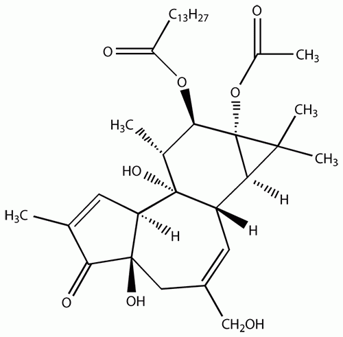 Phorbol-12-myristate-13-acetate (12-Tetradecanoyl phorbol-13-acetate, TPA)