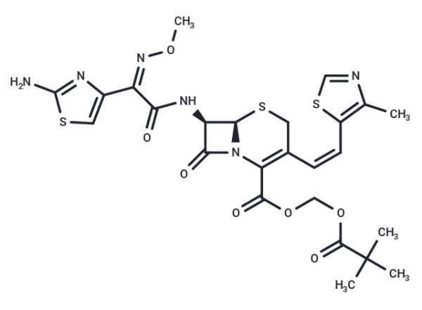 Cefditoren pivoxil