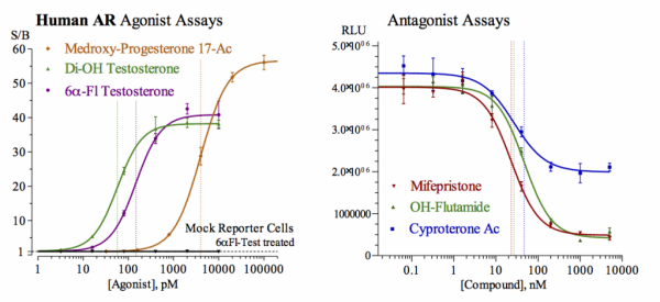 AR (human) Reporter Assay Kit