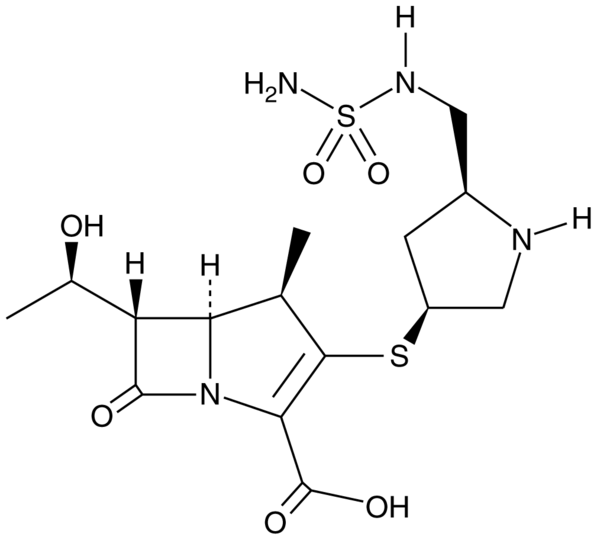 Doripenem (hydrate)