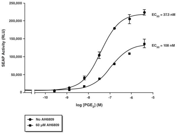 EP2 Receptor (rat) Reporter Assay Kit