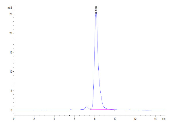 Mouse CD7 Protein
