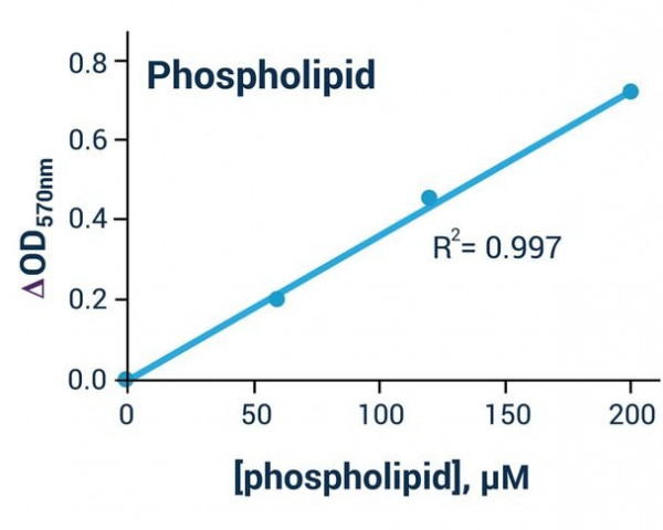 Phospholipid Assay Kit