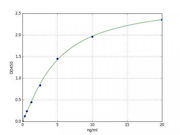 Human Caspase 3 ELISA Kit