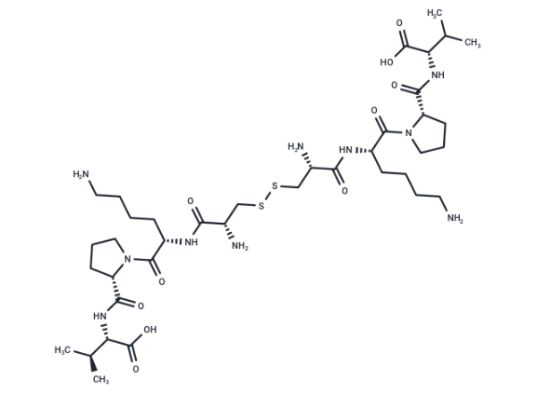 CZEN-002