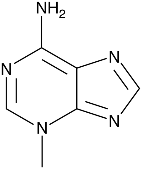 3-Methyladenine