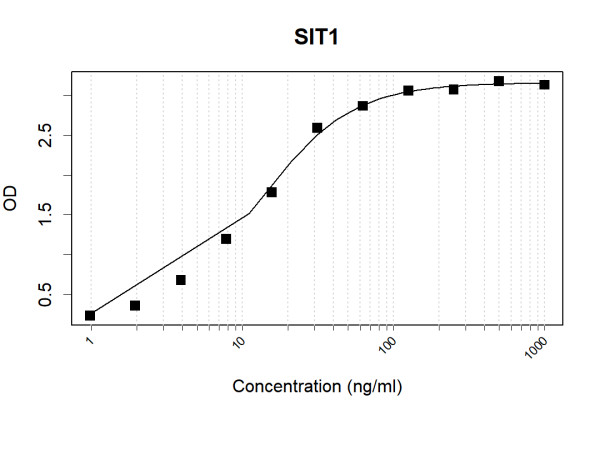 SIT1 (human) Antibody Pair