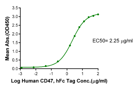 SIRP Gamma/CD172g, His &amp; Avi, Human