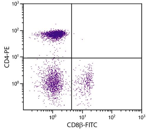 Anti-CD8b (FITC), clone EP42