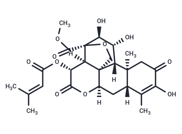 Brusatol