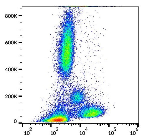 Anti-Bcl2, clone Bcl2/100/D5 (APC)