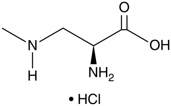 beta-Methylamino-L-Alanine (hydrochloride)