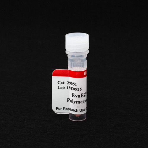 EvaEZ(TM) Fluorometric DNA Polymerase Activity Assay