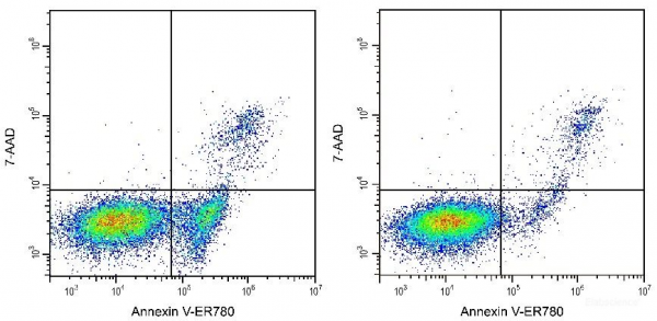 Annexin V-ER780 / 7-AAD Apoptosis Detection Kit[A240]
