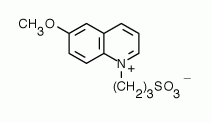 SPQ (6-Methoxy-N-(3-sulfopropyl)quinolinium)