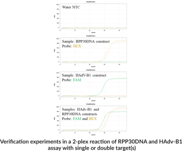 Human RPP30-DNA Control Assay qPCR Assay