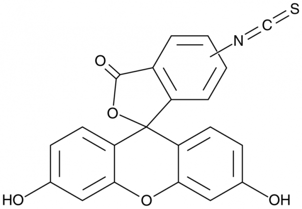 Fluorescein 5(6)-isothiocyanate