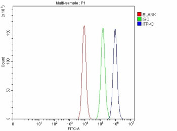 Anti-ITPKC / Inositol-trisphosphate 3-kinase C